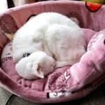 プロフィール写真