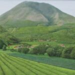 プロフィール写真